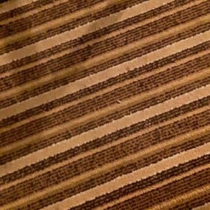 Meet your Posher, Dylan